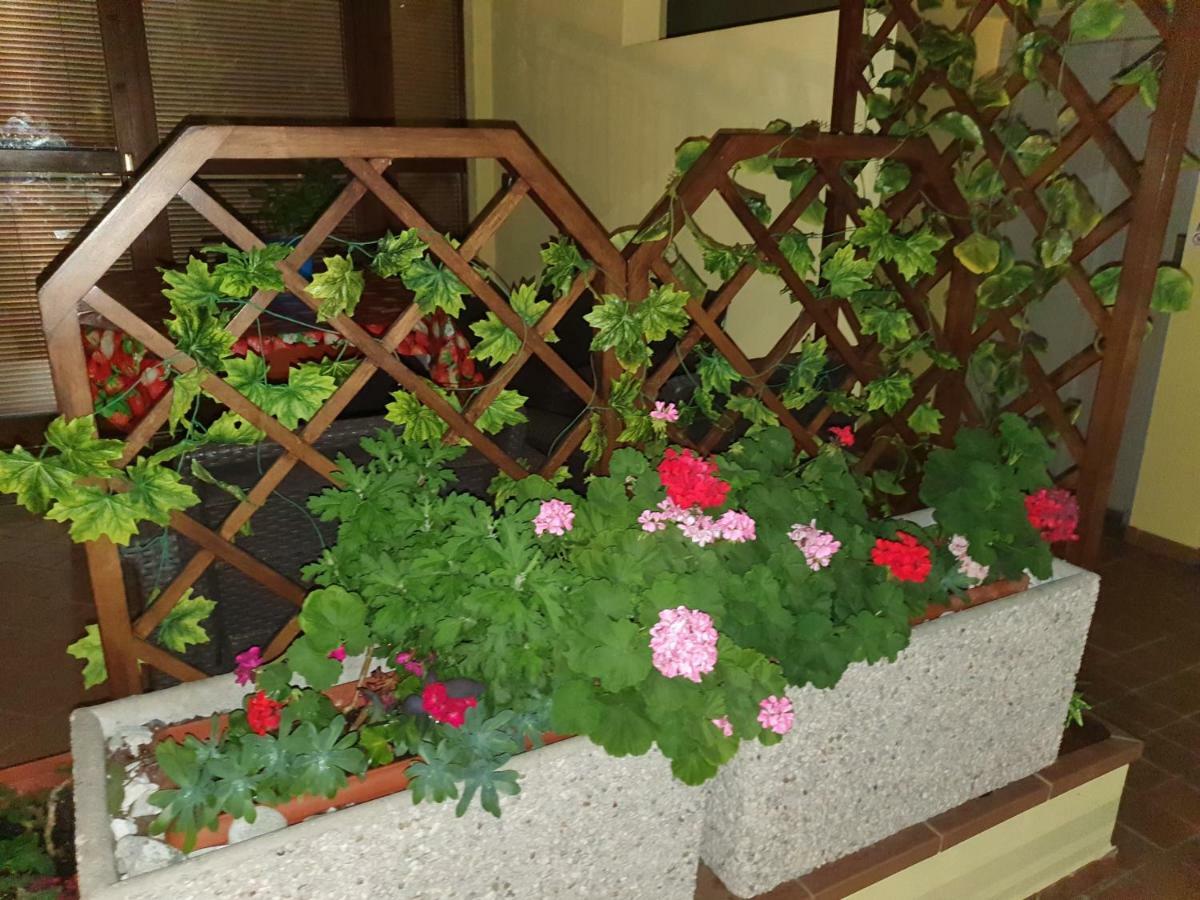 Garda Felice Διαμέρισμα Ντεζεντσάνο ντελ Γκάρντα Εξωτερικό φωτογραφία